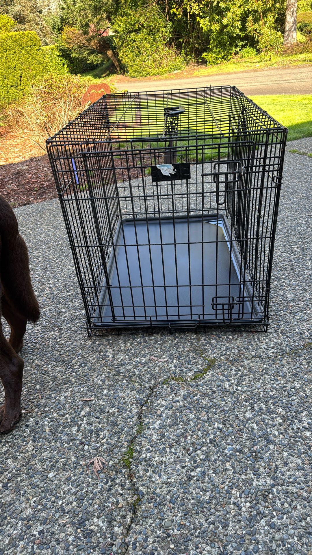 Dog Crate 