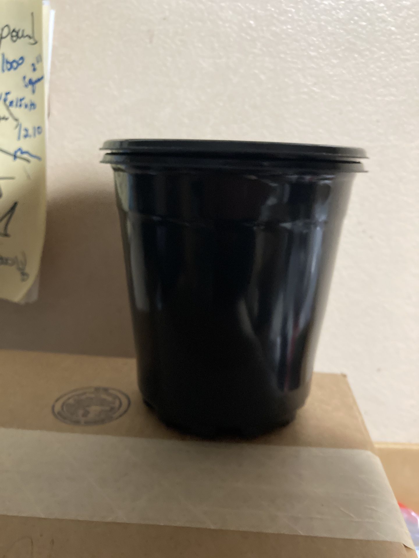 1 gallon plastic nursery pots