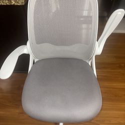Home/ Office Chair