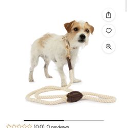 5 Ft Dog Leash