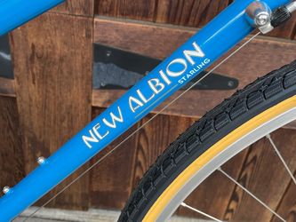 New Albion Starling (Soma)