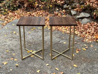 Wood and Brass Side Table - Set of 2