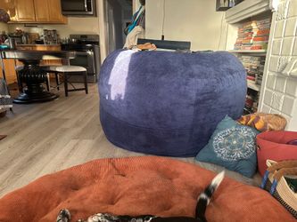 Convertible bean bag / king size mattress