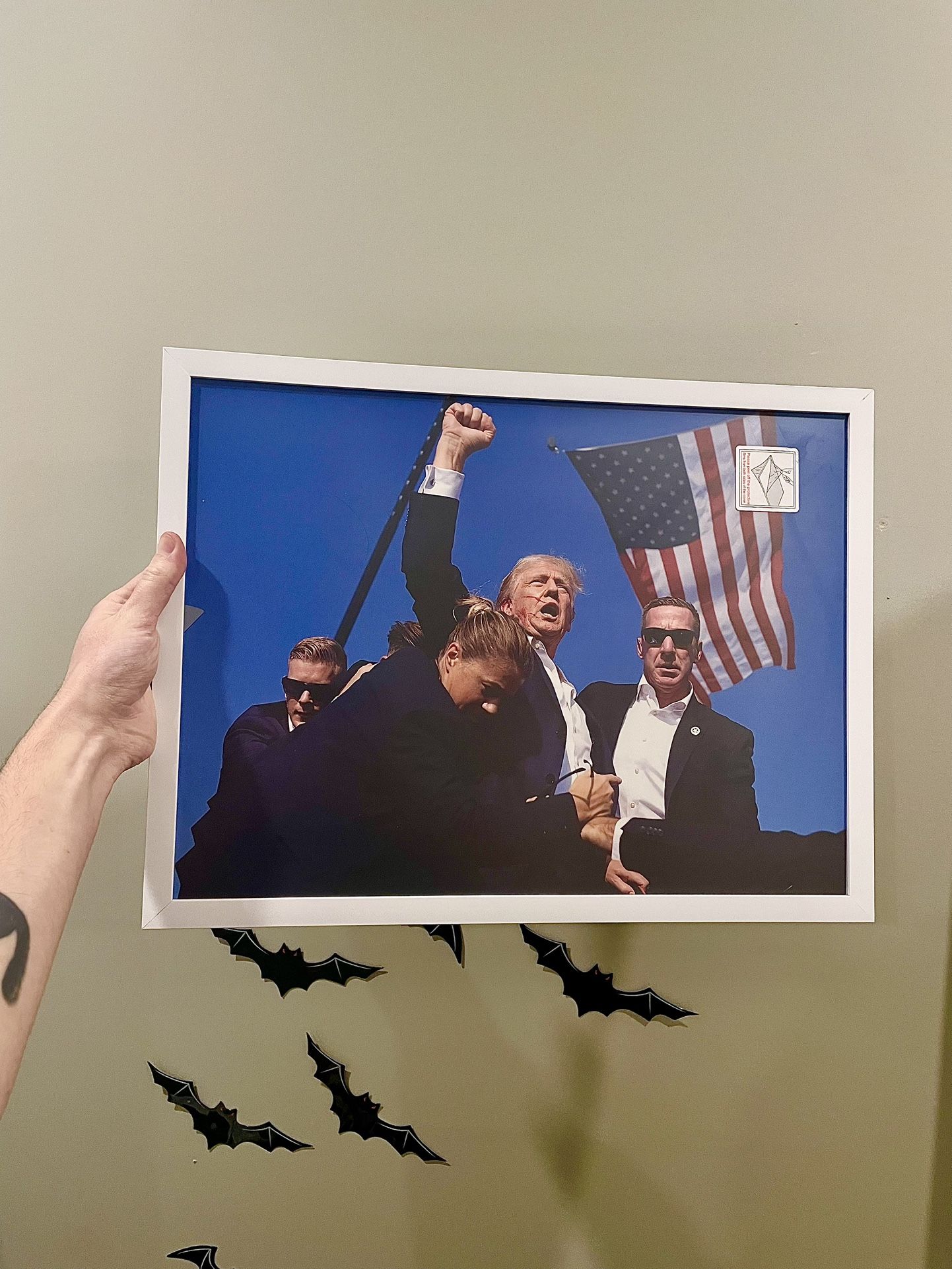 Trump Framed Patriot Portrait (8Hx12L)