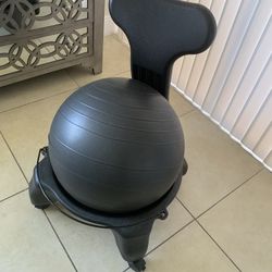 Medicine Ball Chair