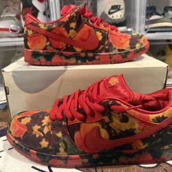 Nike SB Wizard Of Oz Size 12