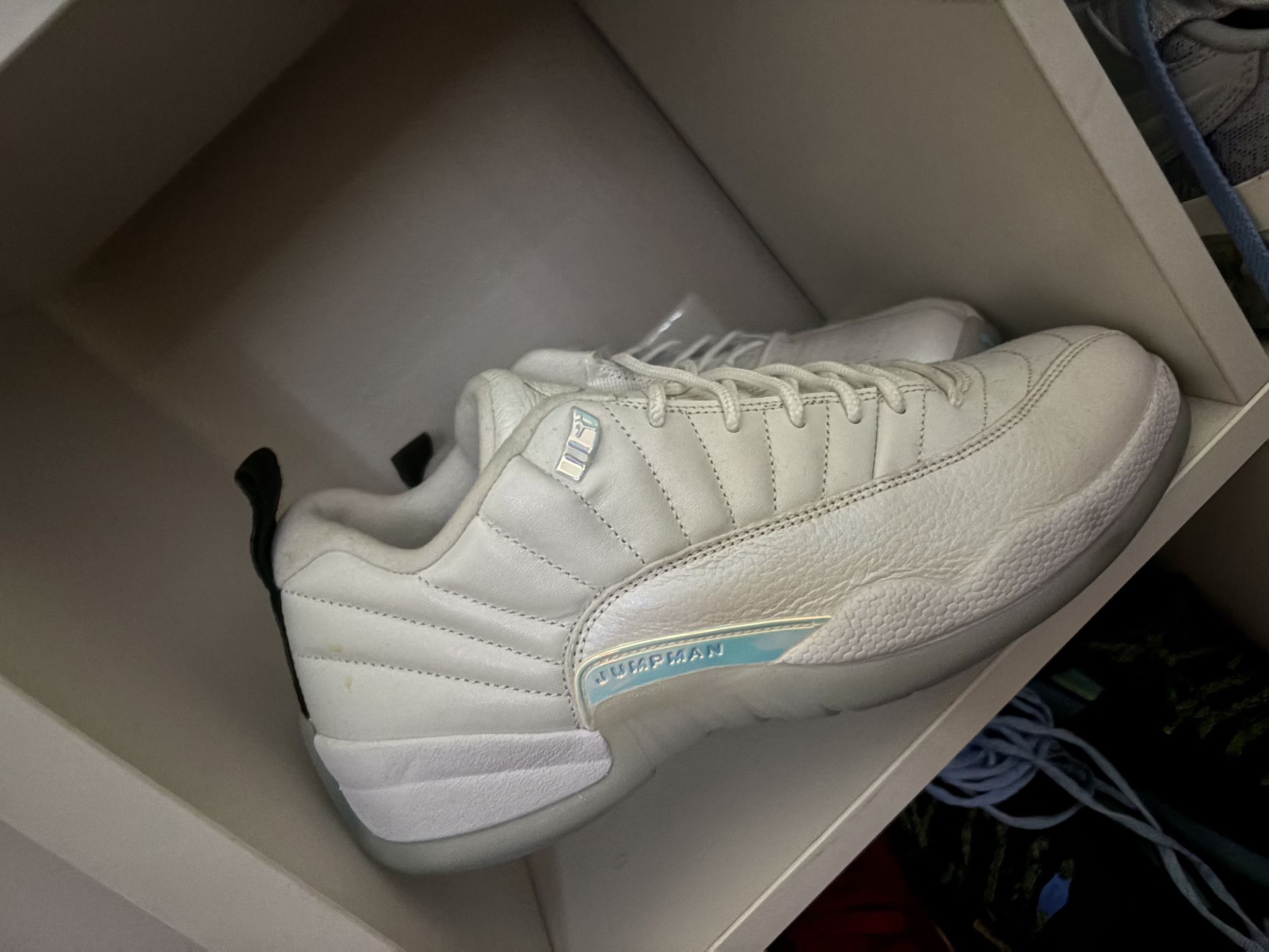 Jordan 12