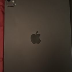 iPad 11inch M4 Chip 2024 256GB