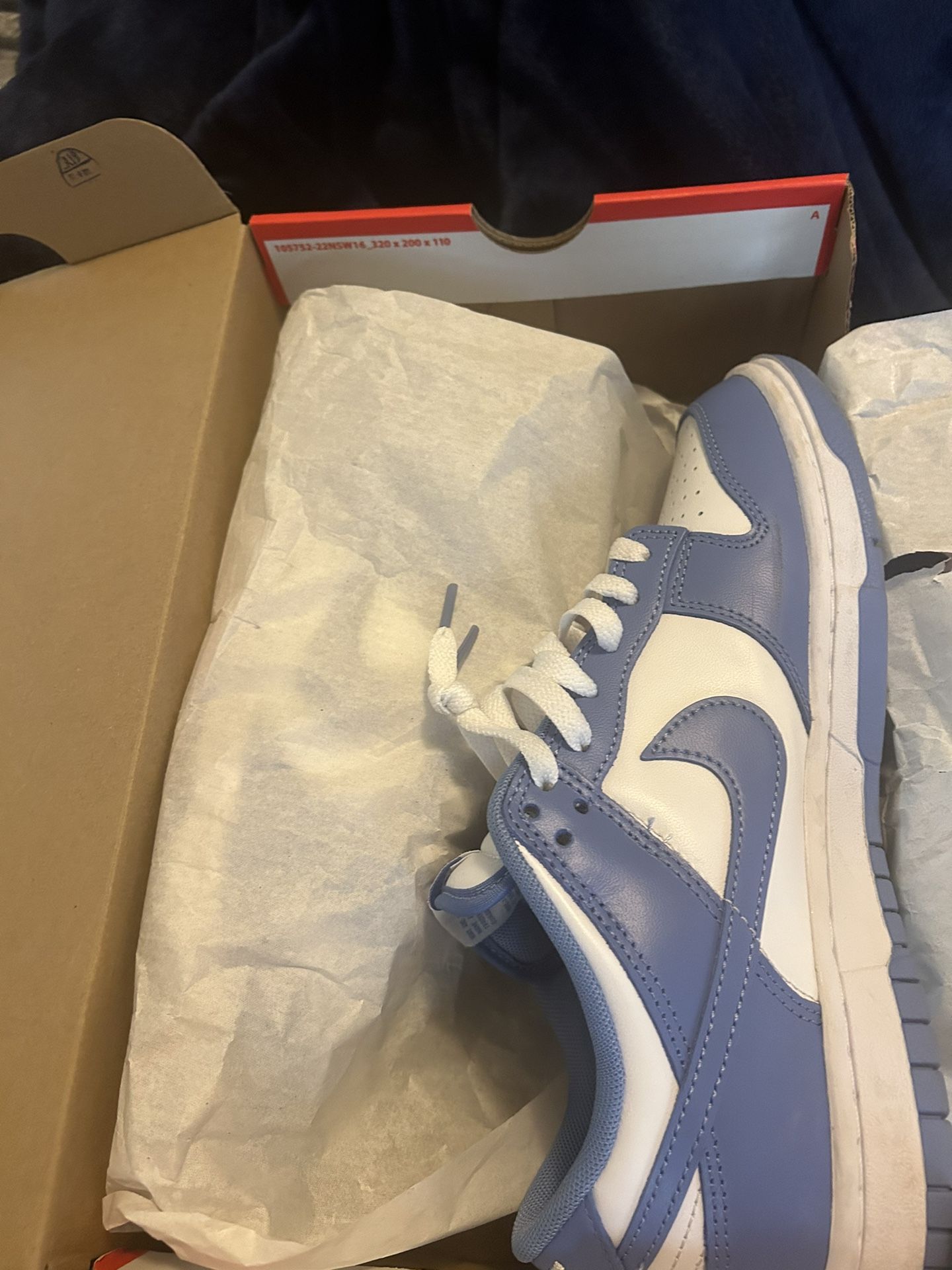 Nike dunk Low Polar Bear Blues