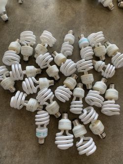 24 Assorted Bulbs