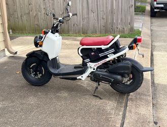 Honda Ruckus