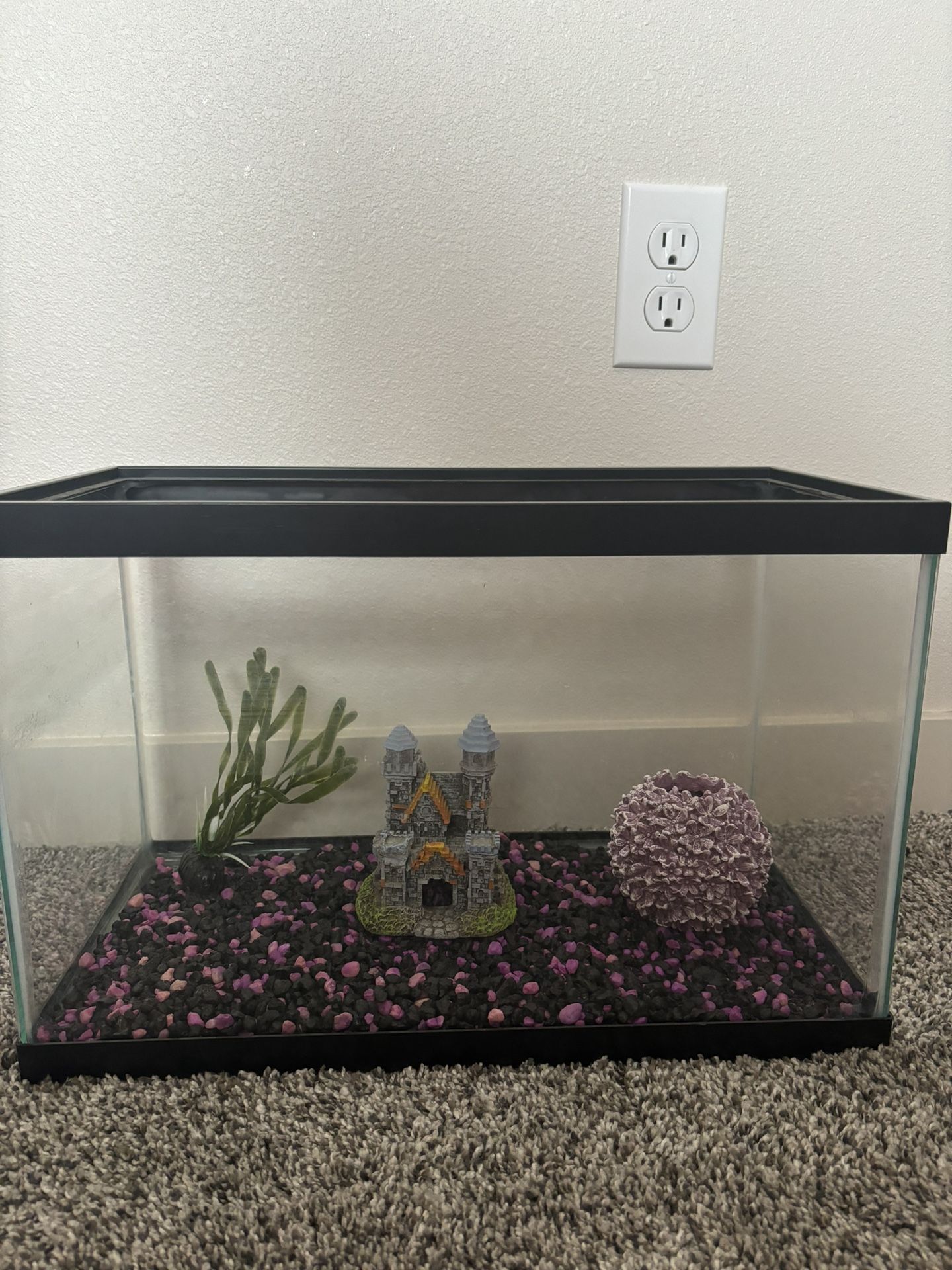 5 Gallon Fish Tank With Gravel And Decor