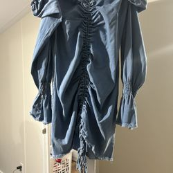 Fashion Nova long sleeve Dress 