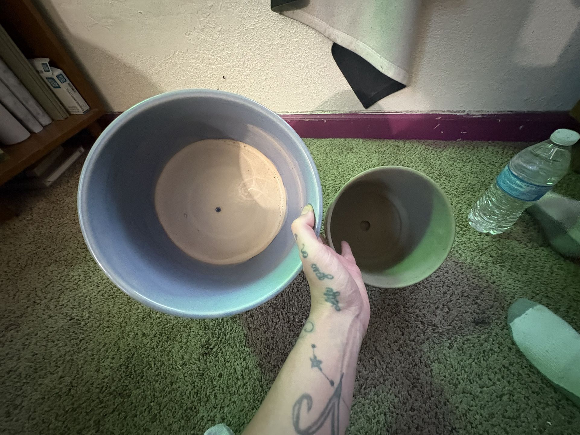 ceramic plant pots