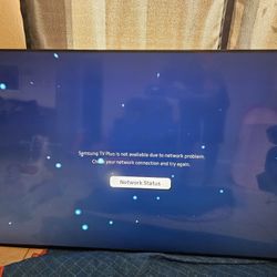 Samsung 65inch TV 250$