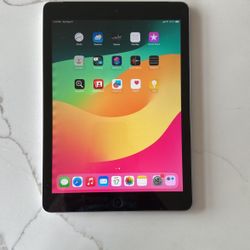 iPad