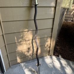 X-mark Crow Olympic Curl Bar