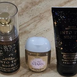 Bath and Body Works - Into The Night Travel Size 
