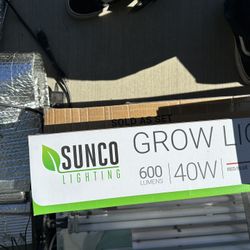 Box’s Of Brand new LEDS,fans,dehumidifier.along With Some Used LEDs And Fans And Individual Drying Racks