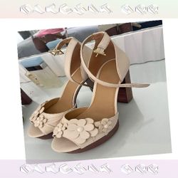 dream she Event Outfits Shine with Refined and Fashionable Styles
