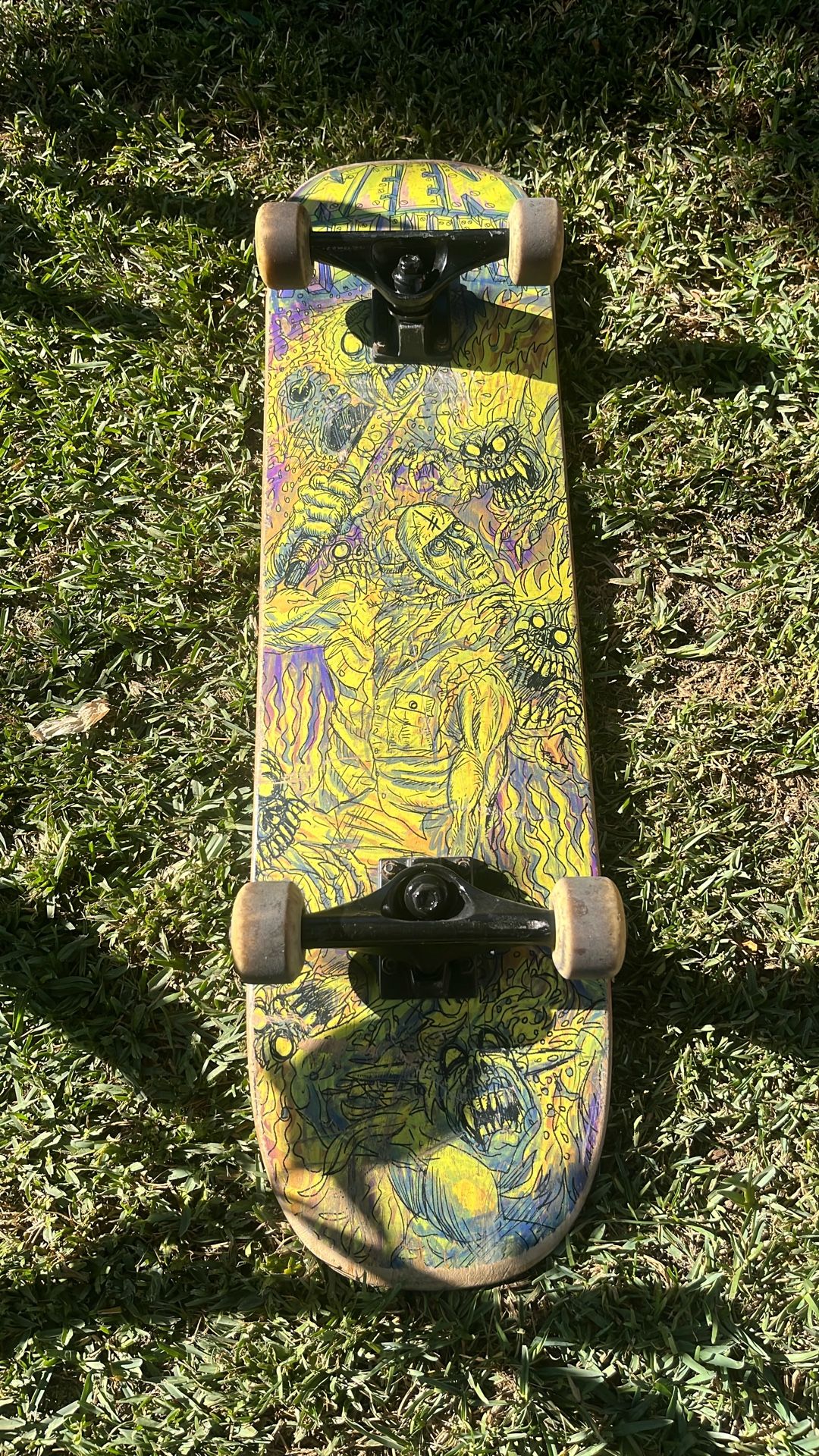 Skate Board