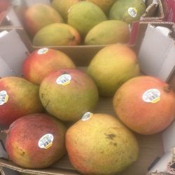 Boxes Of Mangos For Sale 