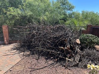 Wood for free