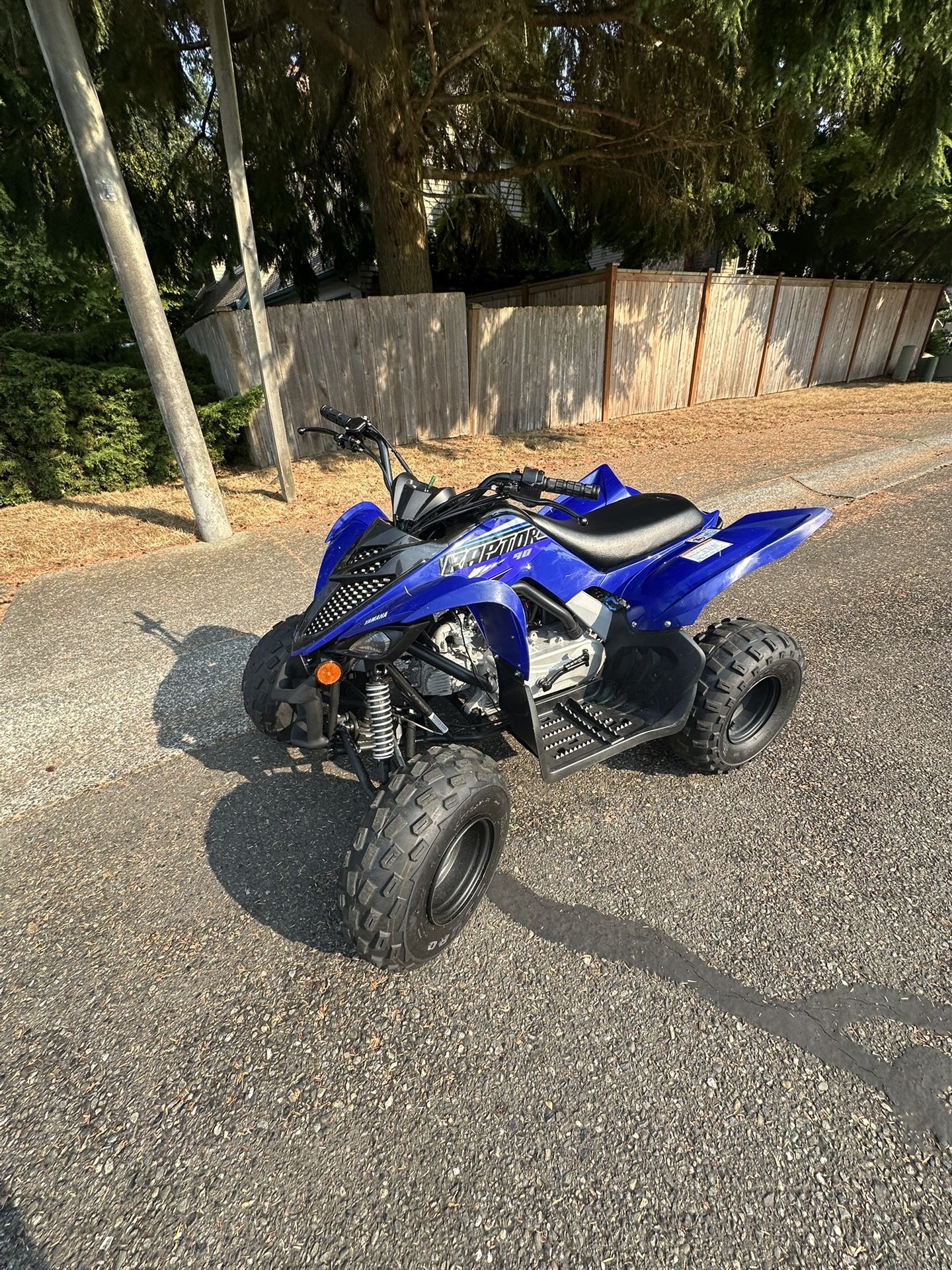 2021 Yamaha Raptor 90