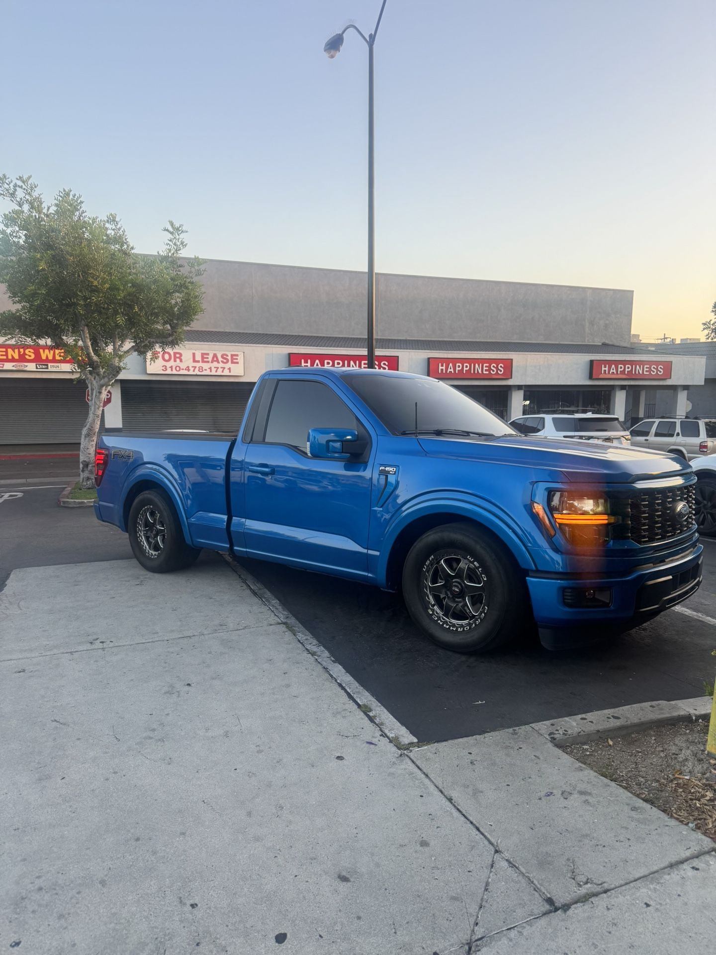 Ford F150 Hood