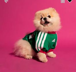 Pet Mexico adidas jersey brand new medium
