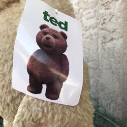 Ted/ Teddy Bear