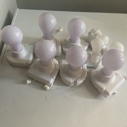 Little Bright Lights 