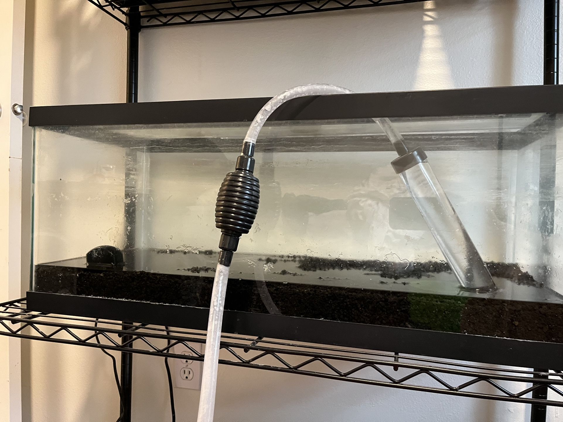 Aquarium Supplies