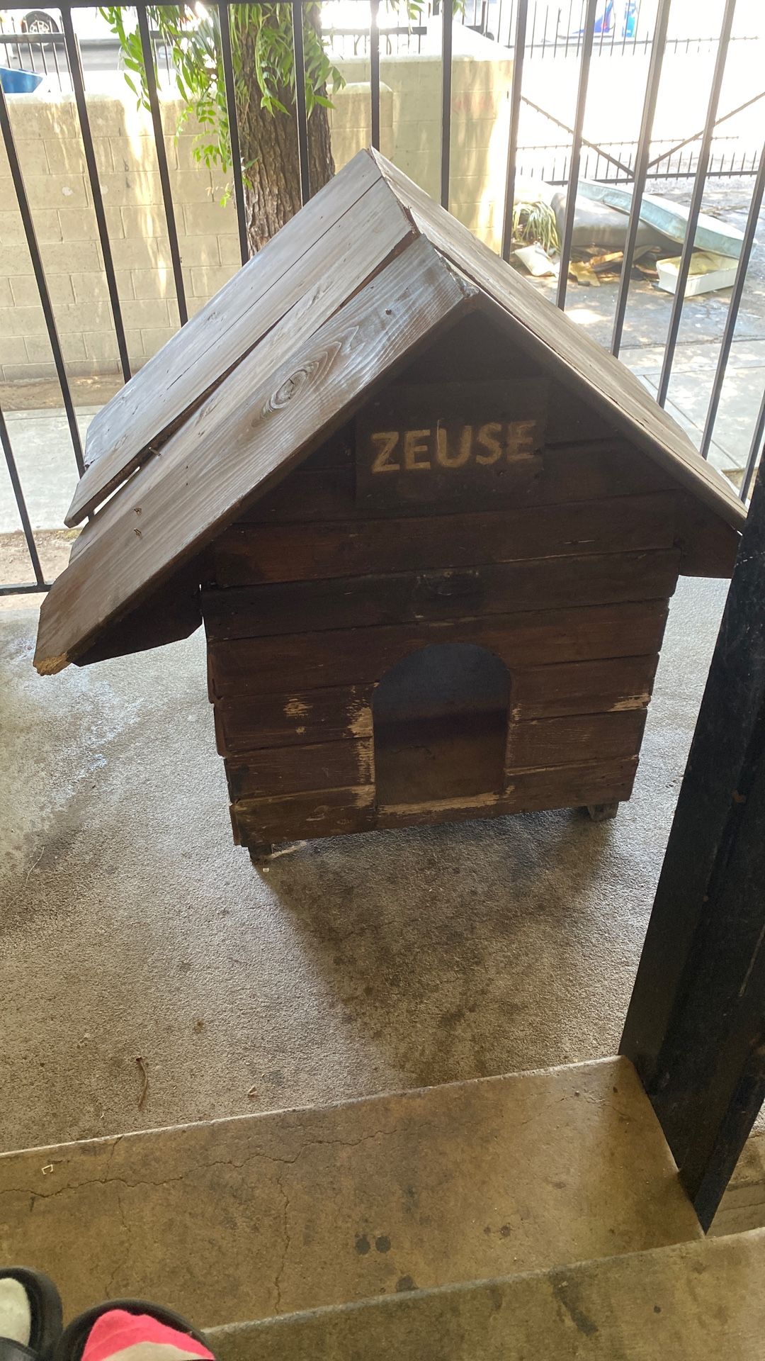 Dog House