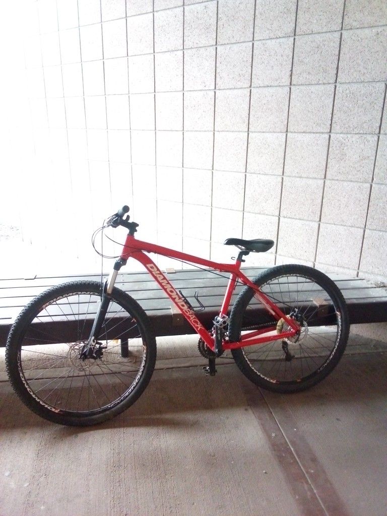 Mountain Bike