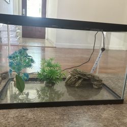 Fish Tank With Underwater LED lights And Accessories