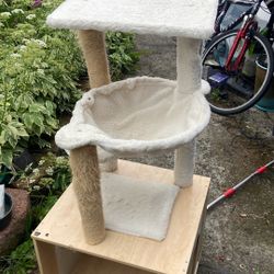Cat House 10$. Pick Up. E.  72.  and Grand View. E.  Tacoma 