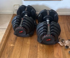 Bowflex  552 dumbbells