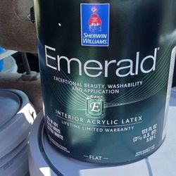 Emerald Interior Acrylic Latex And Prolock PRIMER