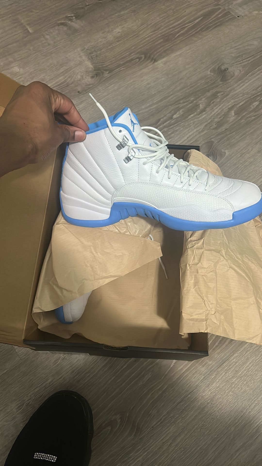 Jordan 12 Retro