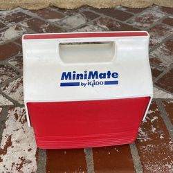 MINI MATE BY IGLOO SMALL COOLET ICE CHEST LUNCH PAIL