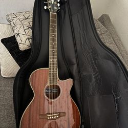 Ibanez Acoustic/electric Guitar Plus Gig Bag