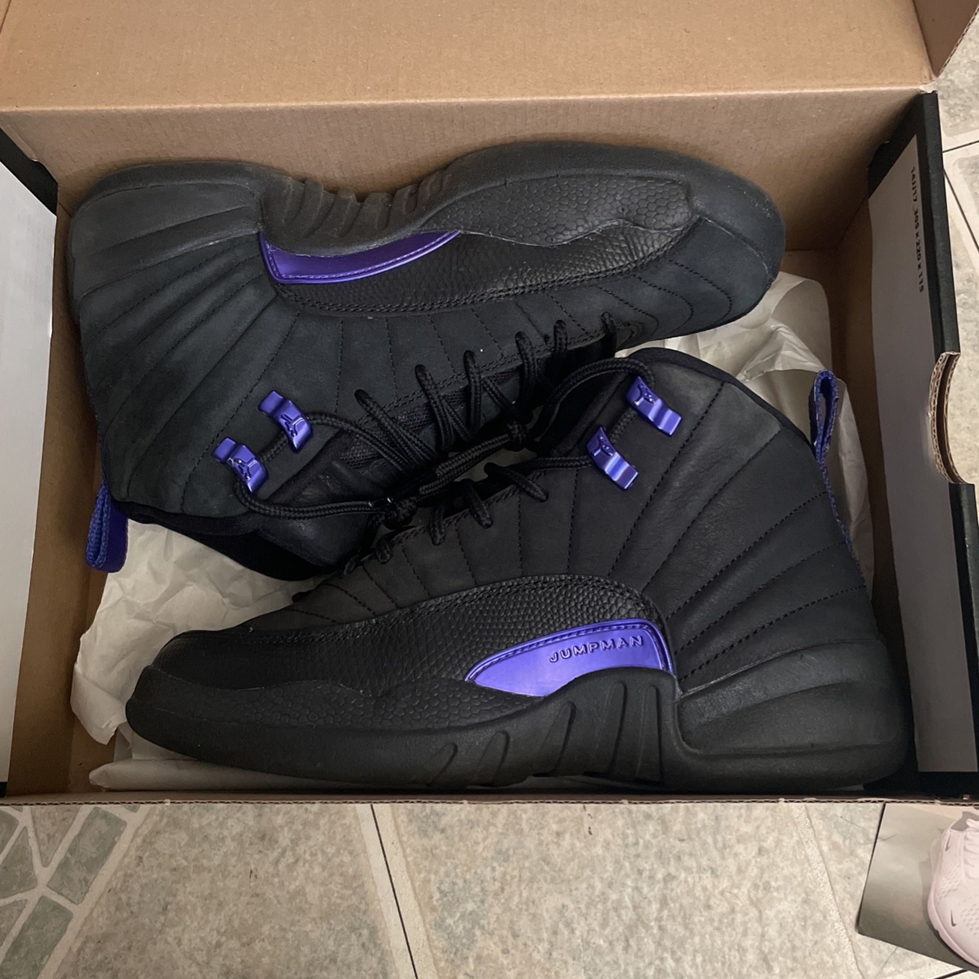 Jordan 12 Dark Concord
