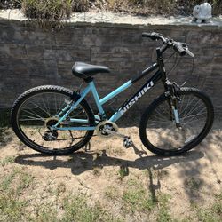 Nishiki Bicycle 