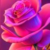 🌺Super Offertàs Vicky!🌺