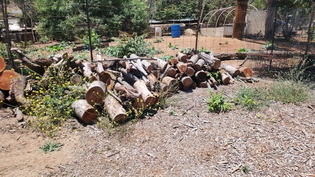 Seasoned Firewood
