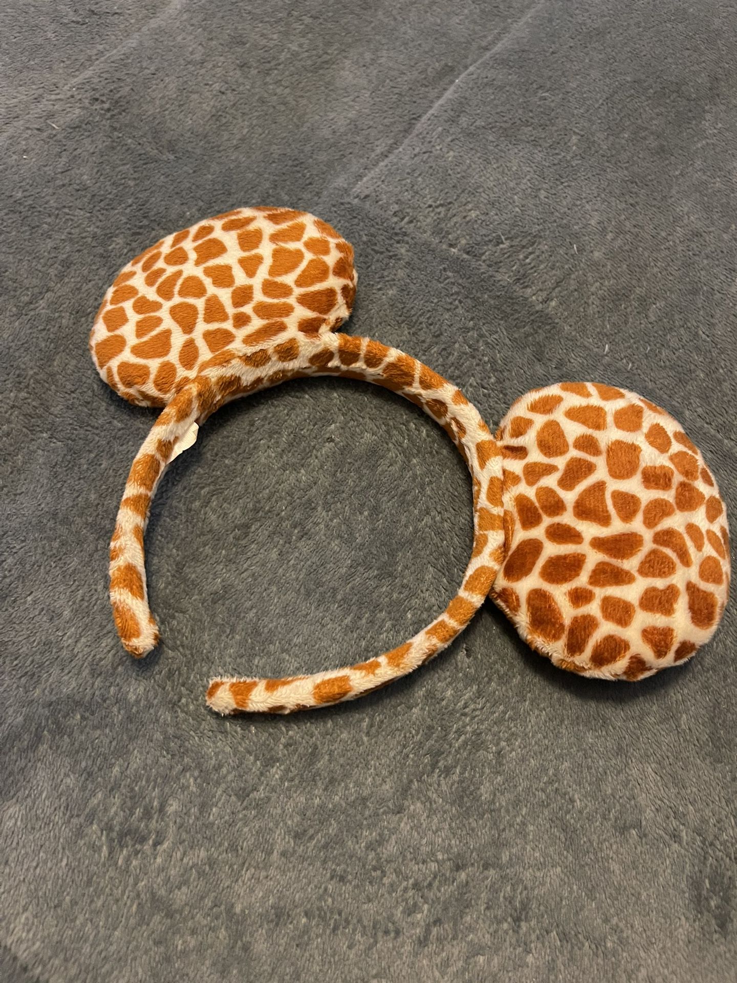 Disney Mickey Ears