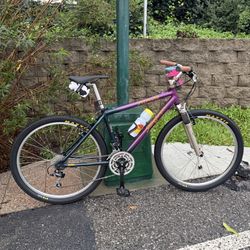 90’s Specialized Stumpjumper