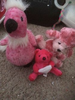 Stuffed animals