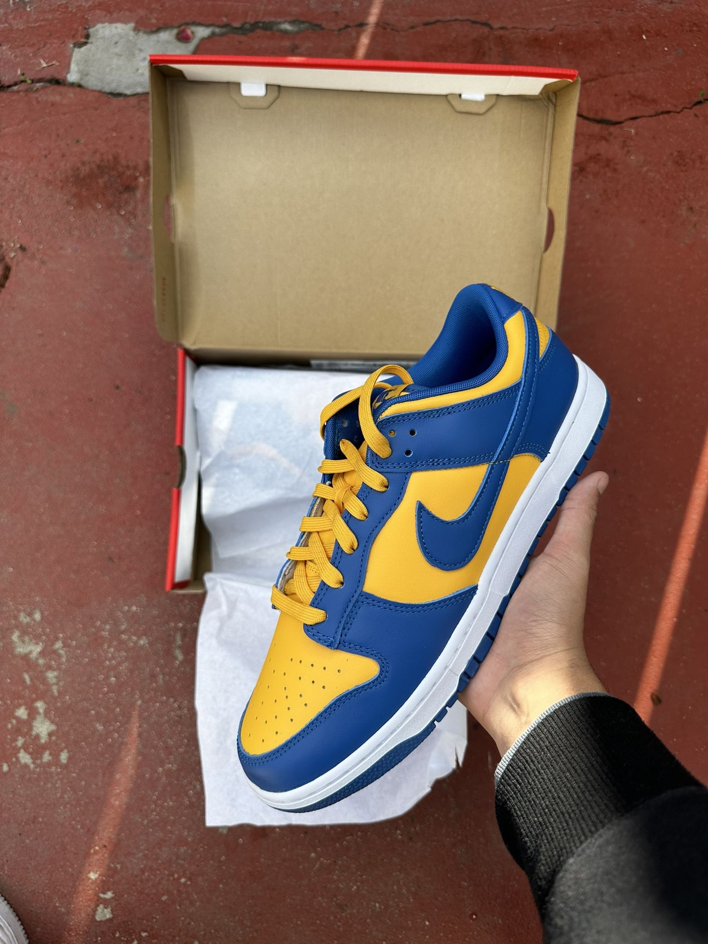 Nike Dunk Low UCLA